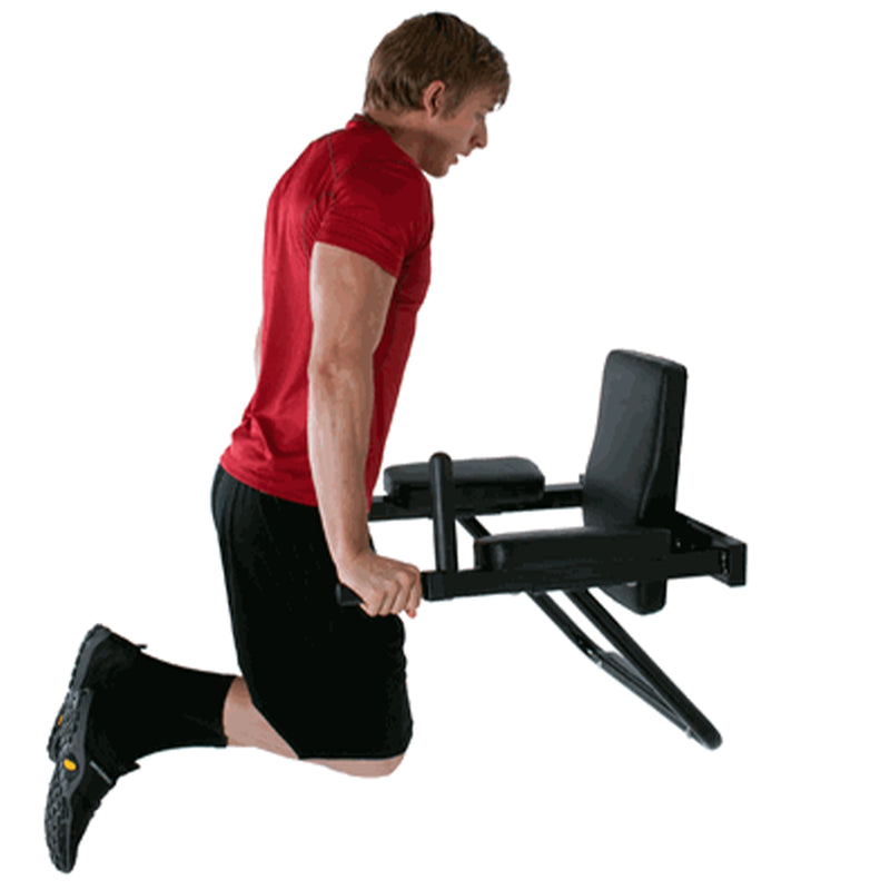 Ultimate Body Press DSVKR Wall Mount Dip Station w/ Vertical Knee Raise Stand