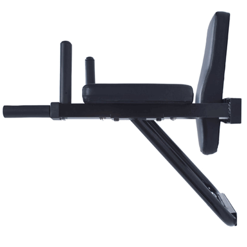 Ultimate Body Press DSVKR Wall Mount Dip Station w/ Vertical Knee Raise Stand
