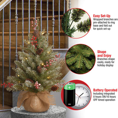 National Tree 2' Dunhill Fir Artificial Christmas Tree w/ LED Lights (Open Box) - VMInnovations