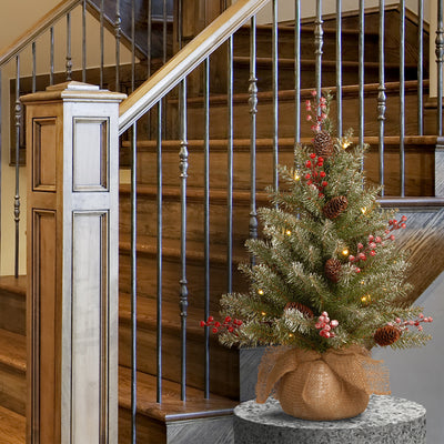 National Tree 2' Dunhill Fir Artificial Christmas Tree w/ LED Lights (Open Box) - VMInnovations