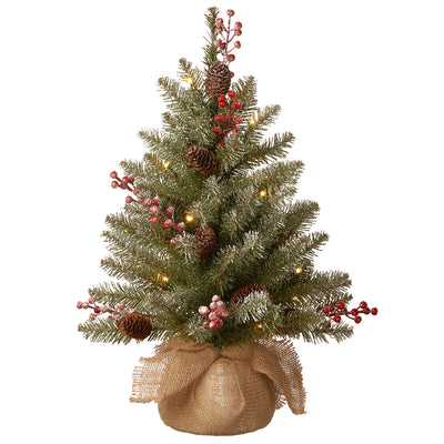 National Tree 2' Dunhill Fir Artificial Christmas Tree w/ LED Lights (Open Box) - VMInnovations