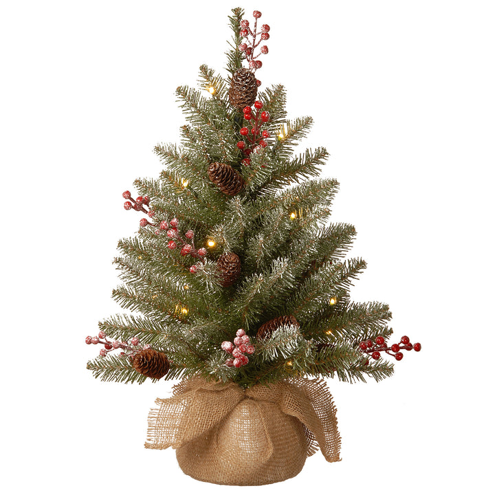 National Tree 2' Dunhill Fir Artificial Christmas Tree w/ LED Lights (Open Box)