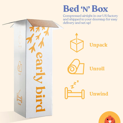 Early Bird Essential 10in Dual Layer Gel Memory Foam Mattress, California King