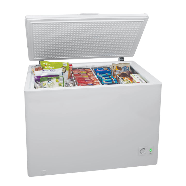 Plastic Development Group 10.6 Cubic Ft Deep Freeze Home Chest Freezer, White - VMInnovations