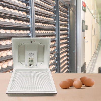 Farm Innovators 2100 Heated Still Air Incubator for 4 Dozen Eggs, White (4 Pack)