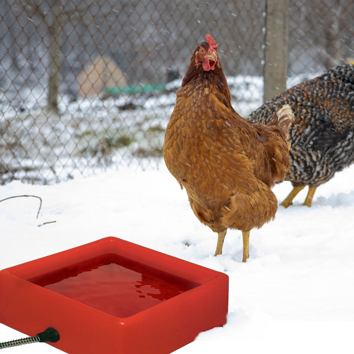 Farm Innovators 1.25 Gallon 60W Electric Heated Pet Water Bowl, Red (3 Pack)