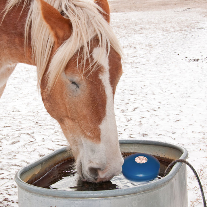 Farm Innovators Ice N Easy Economical Tank 1500W Traditional Floating De Icer