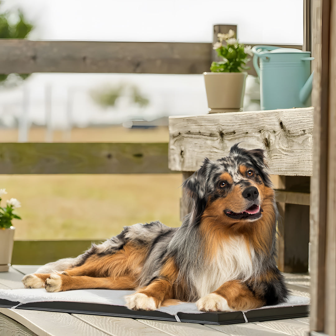 Farm Innovators HM-100L Large Plastic Heated Pet Mat with Fleece Cover, 100 Watt