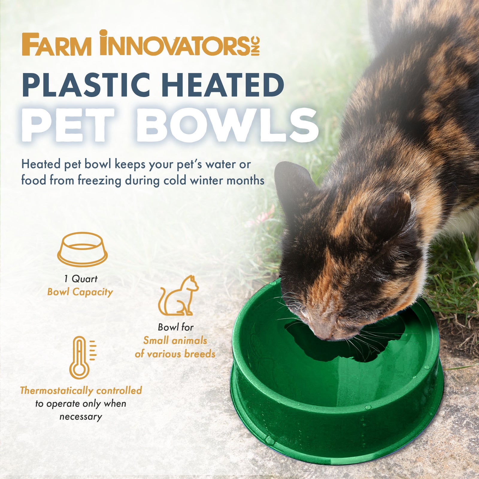 Farm Innovators QT-1 1 Quart Electric Heated Pet Water Bowl, 25 Watt, Green - VMInnovations
