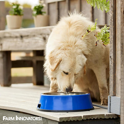 Farm Innovators Signature Series 5.5QT Heated Pet Bowl w/ Stainless Steel Insert