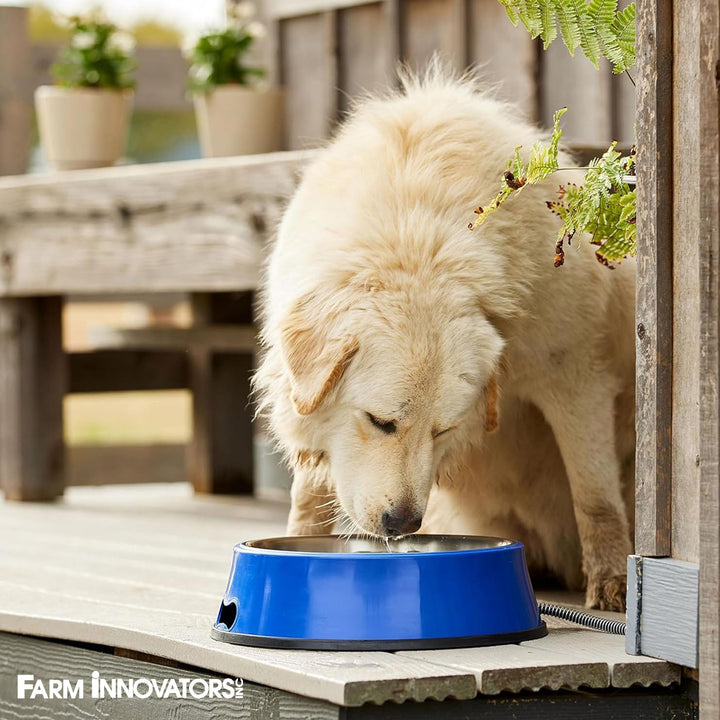 Farm Innovators Signature Series 5.5QT Heated Pet Bowl w/ Stainless Steel Insert