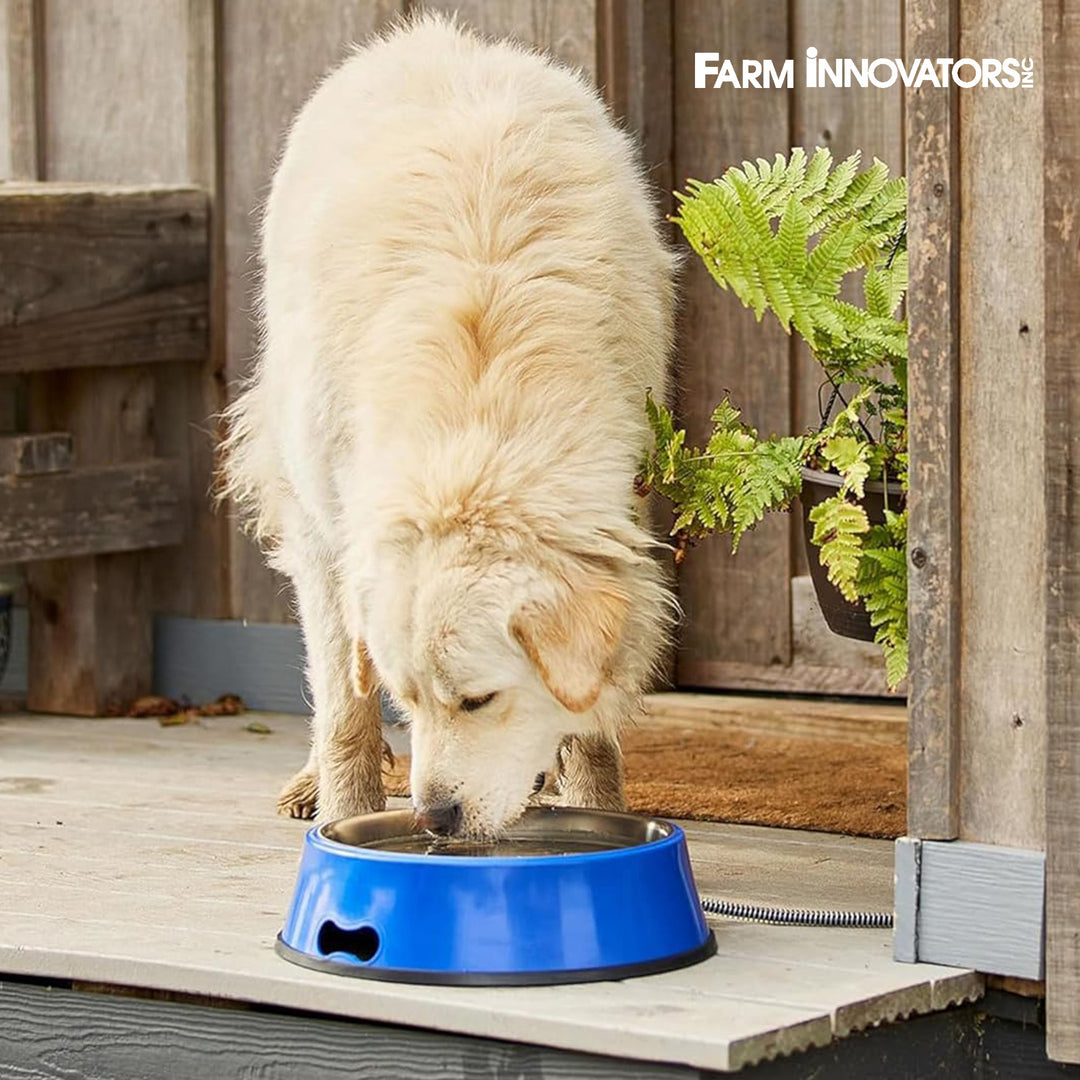 Farm Innovators Signature Series 5.5QT Heated Pet Bowl w/ Stainless Steel Insert