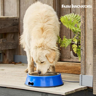 Farm Innovators Signature Series 5.5QT Heated Pet Bowl w/ Stainless Steel Insert