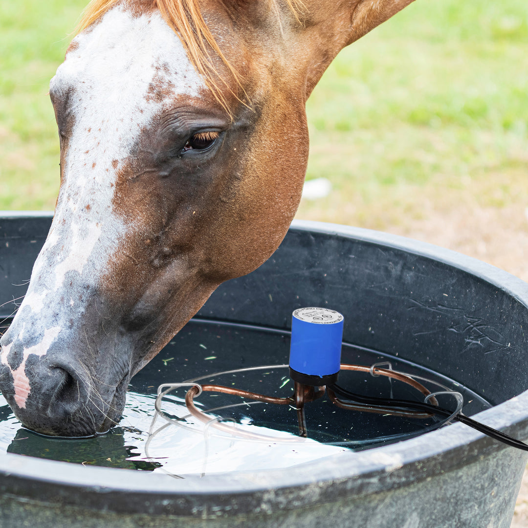 Farm Innovators H-429 1500 Watt Cast Aluminum Submergible Water Deicer