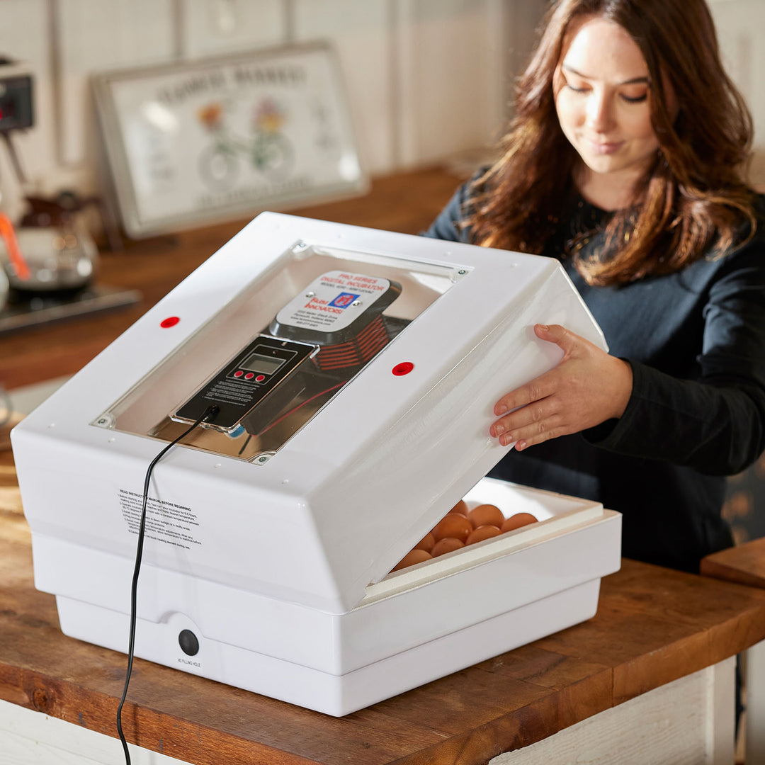 Farm Innovators 2150 LCD Display Still Air Incubator for 4 Dozen Eggs (Open Box) - VMInnovations