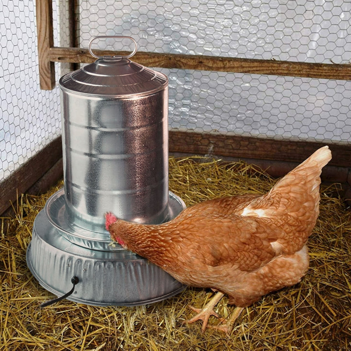 Farm Innovators 125W Heated Base for Double Wall Metal Poultry Founts, Metallic