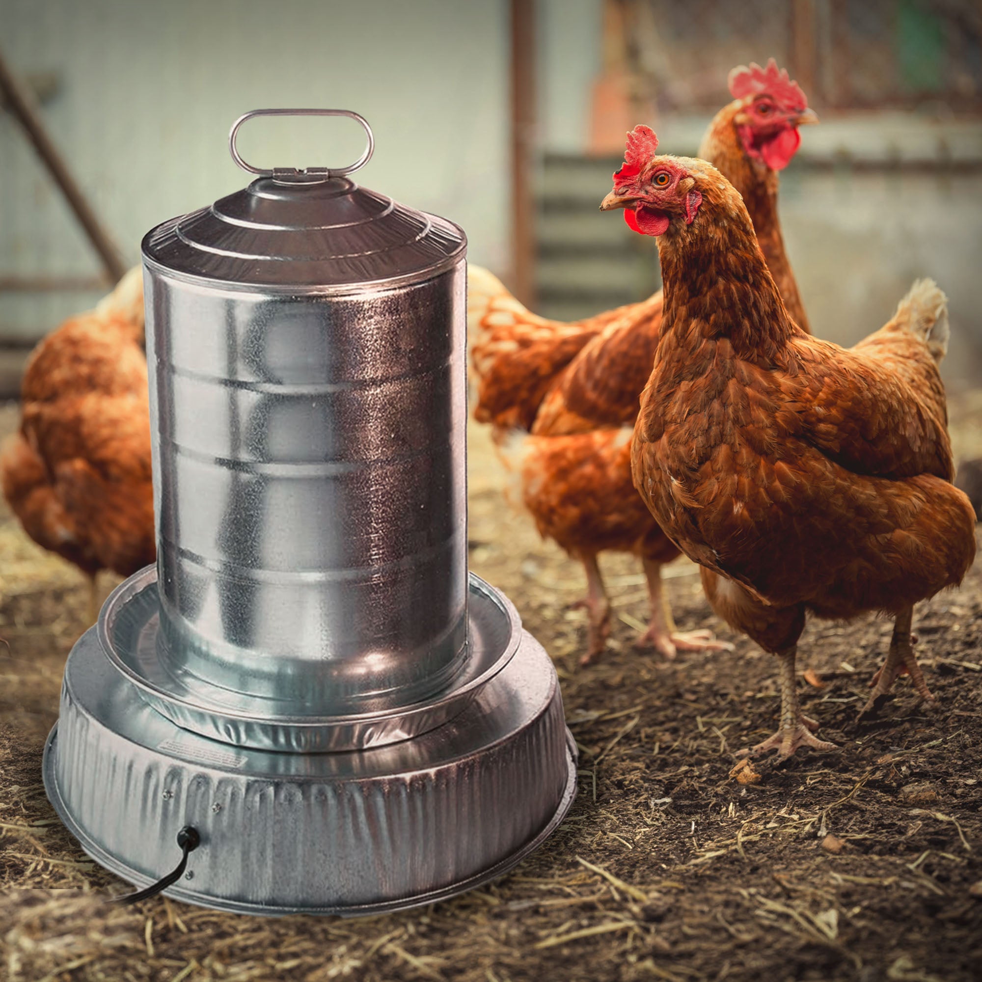 Farm Innovators 125W Heated Base for Metal Poultry Founts, 3 Pack, Metallic - VMInnovations