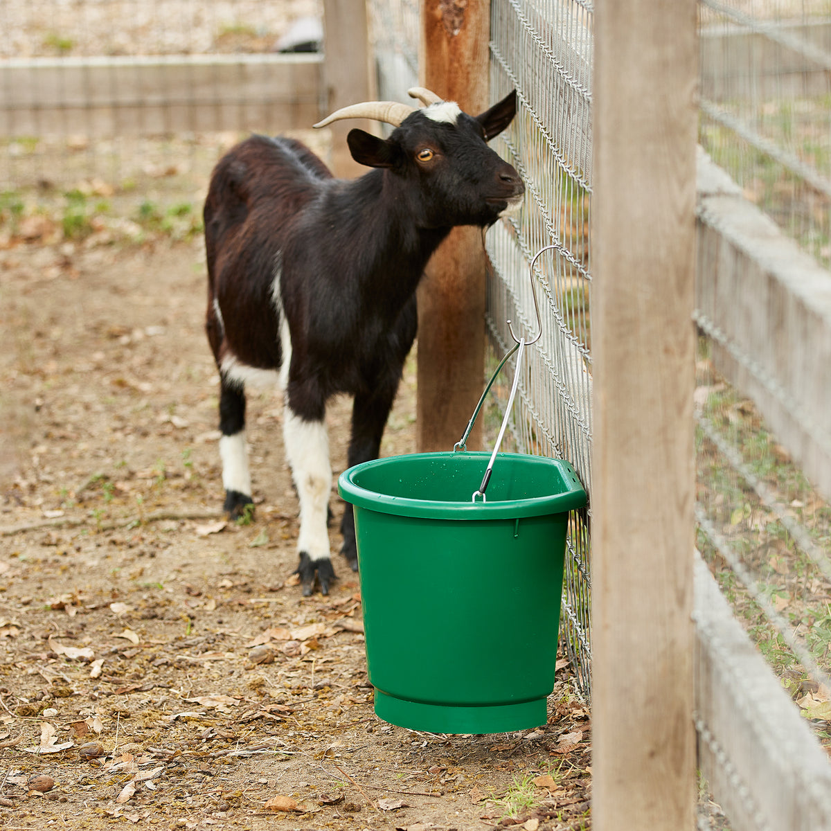 Farm Innovators FB-80 Plastic 3 Gallon Flat Back Heated Bucket, 70 Watt, Green - VMInnovations