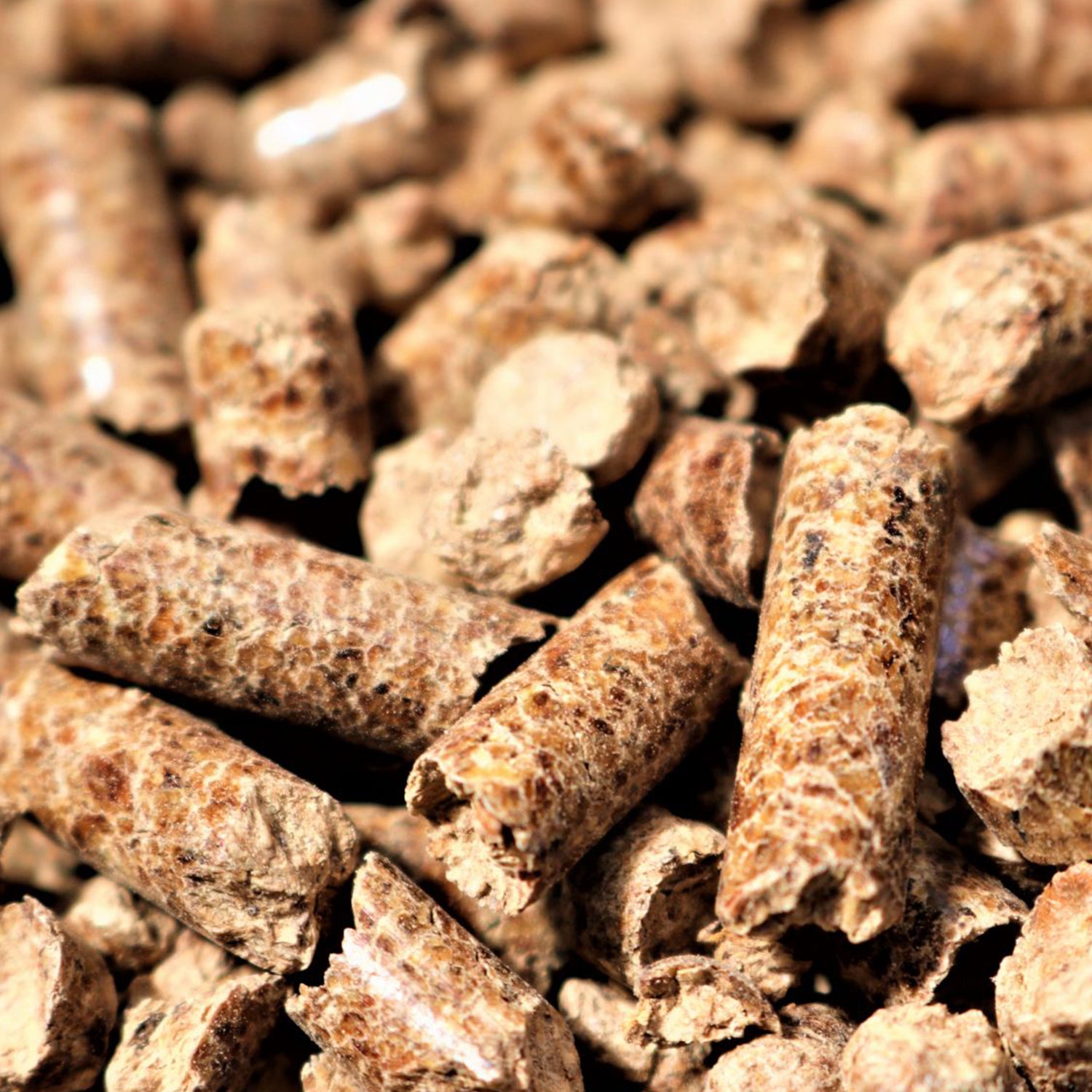 Bear Mountain BBQ Premium All Natural Wood Mesquite Smoker Pellets, 40 Pounds (Refurbished)