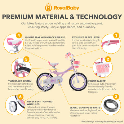 RoyalBaby Princess Girl Bicycle 16" with Training Wheels & Kickstand, Jenny/Pink - VMInnovations