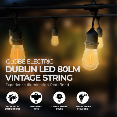 Globe 24 Feet 80 Lumens Dublin LED Vintage String 12 Bulb Light Set w/12 Sockets