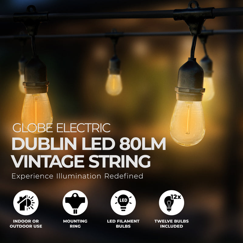 Globe 24 Feet 80 Lumens Dublin LED Vintage String 12 Bulb Light Set w/12 Sockets