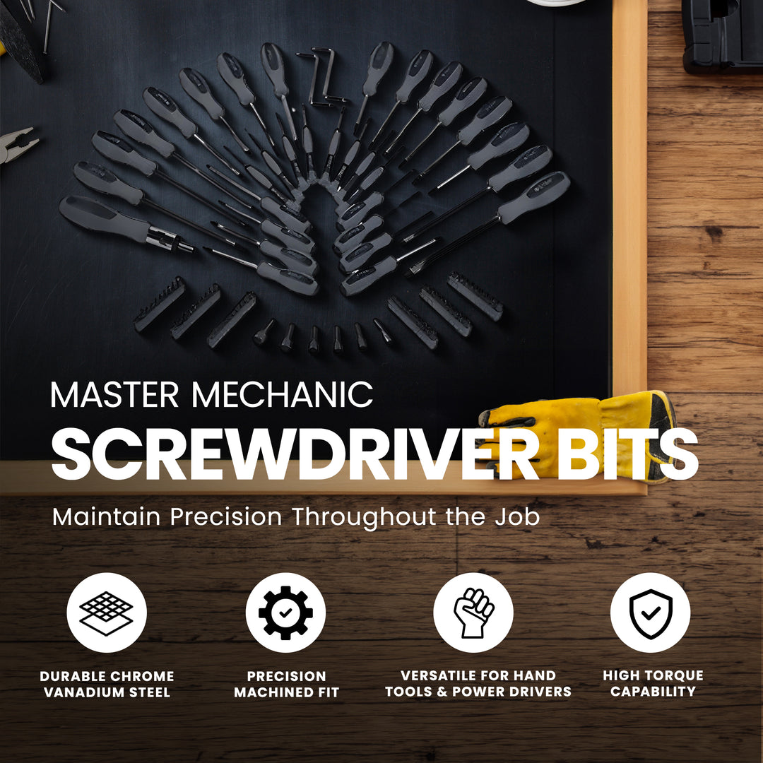 Master Mechanic Screwdriver & Bits Made of Chrome Vanadium Steel, 100 Piece Set