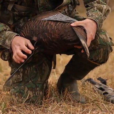 Flextone Thunder Chick Feeder Portable Hen Decoy For Turkey Hunting (Open Box)