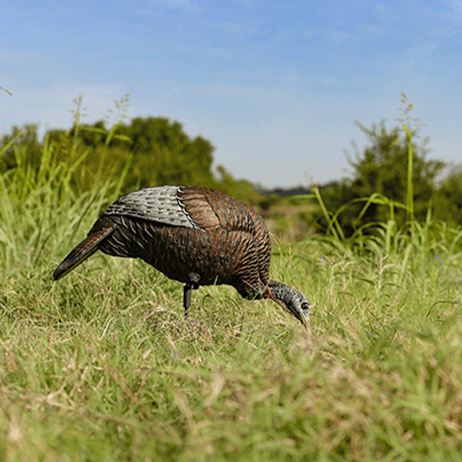 Flextone Thunder Chick Feeder Portable Hen Decoy For Turkey Hunting (Open Box)
