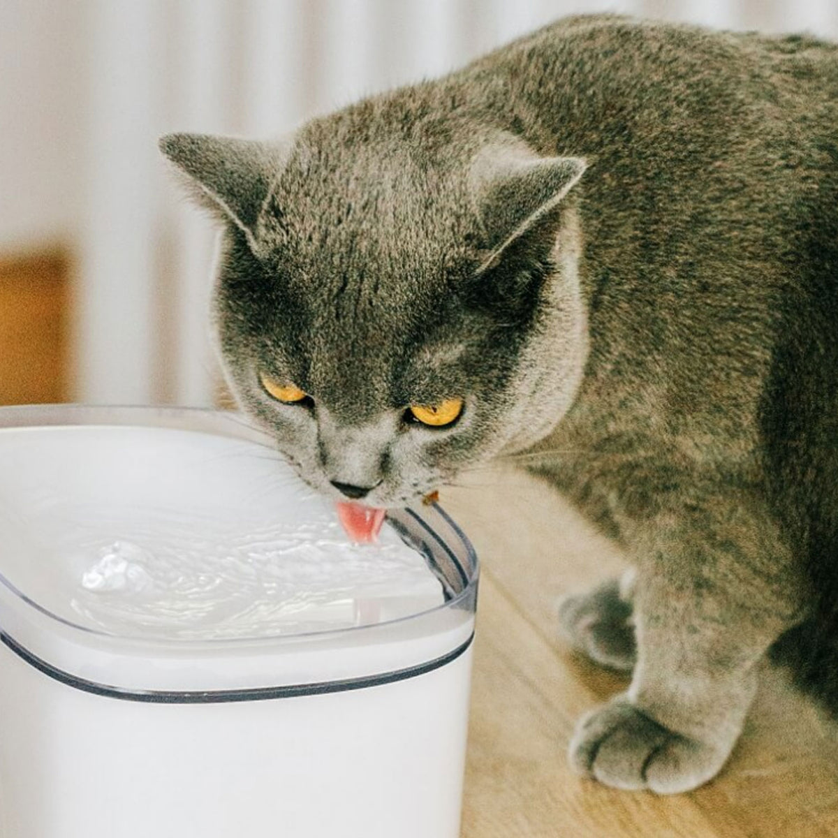 Petoneer Fresco Mini Plus Silent Running Pet Cat Filtered Fresh Water Fountain