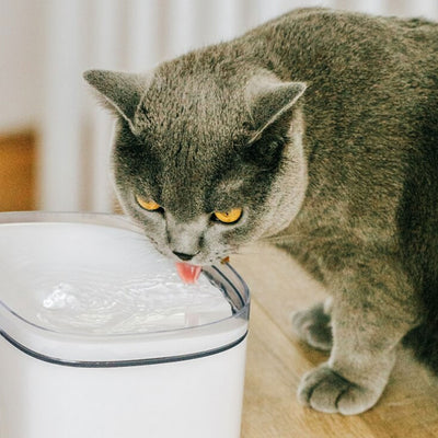 Petoneer Fresco Mini Plus Silent Running Pet Cat Filtered Fresh Water Fountain