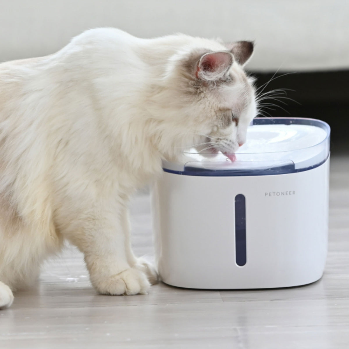 Petoneer Fresco Mini Plus Silent Running Pet Cat Filtered Fresh Water Fountain