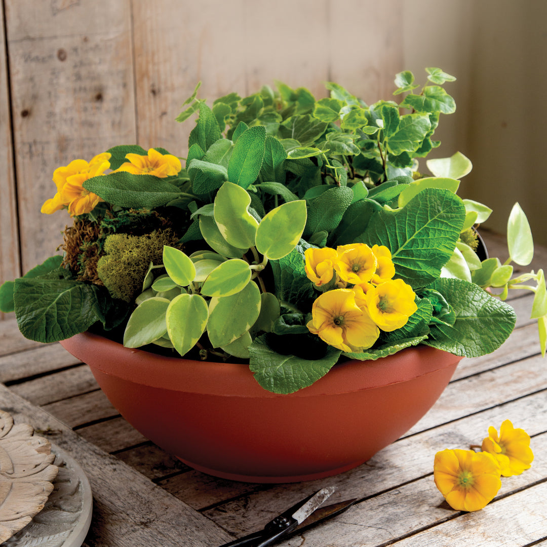 HC Companies GAB18000E35 18" Resin Garden Bowl Planter Pot, Terra Cotta Clay