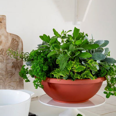 HC Companies GAB18000E35 18" Resin Garden Bowl Planter Pot, Terra Cotta Clay