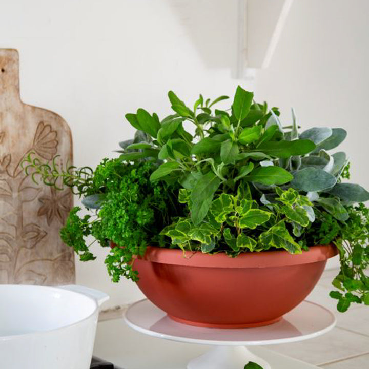 HC Companies GAB18000E35 18" Resin Garden Bowl Planter Pot, Terra Cotta Clay