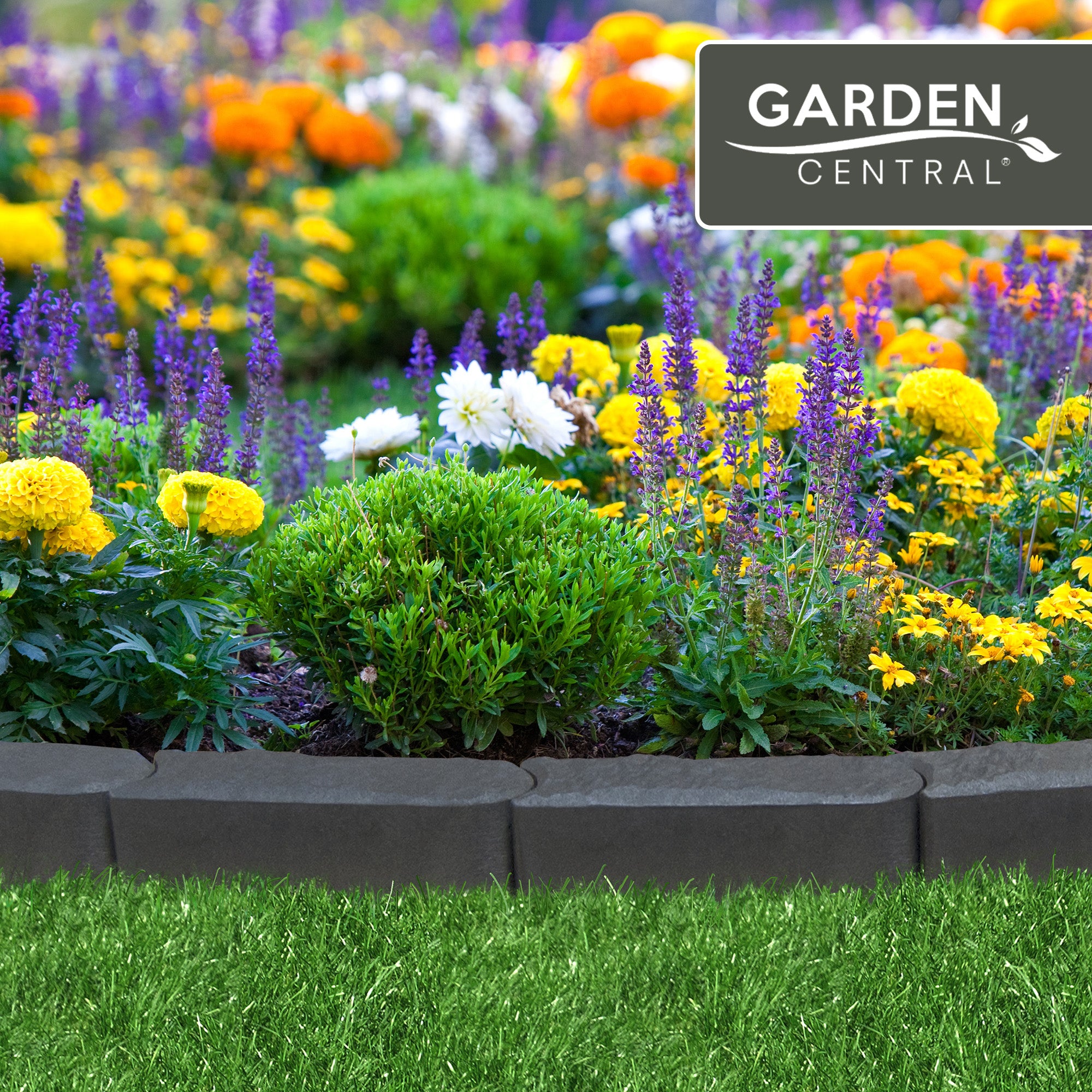 Garden Central 12pk 12"x4" Stomp Edge Slate Lightweight Garden Borders(Open Box) - VMInnovations