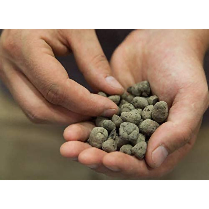 Geolite GMGC45L Gardening PH Neutral Draining Clay Pebbles, 45 Pound Bag, Gray