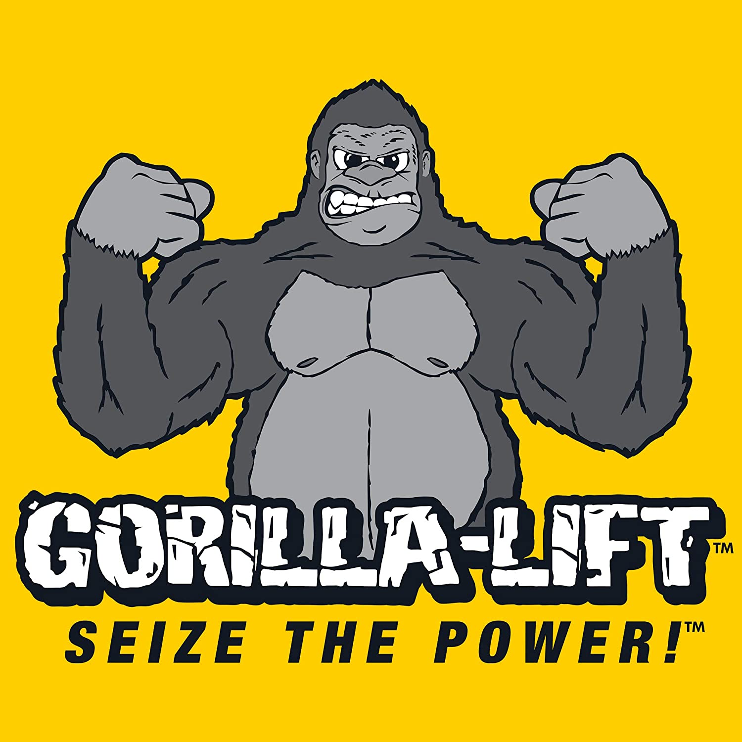 Gorilla Lift 2 Sided Tailgate Lift Assist and Easy Lift Handle - VMInnovations