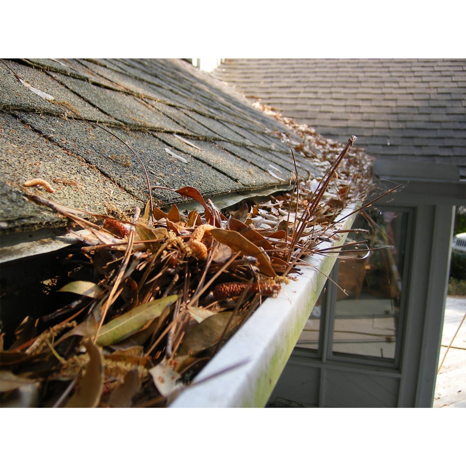 GutterBrush 6" Roof Rain Leaf Gutter Guard w/ Bristles, 60 Ft. Pack (Open Box)