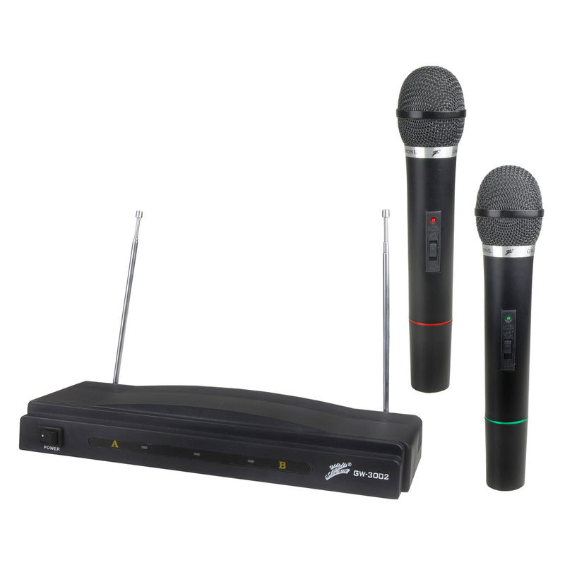 Audiopipe GW3002/DM306 Dual FM Wireless Microphone Transmitter w/Receiver, Black