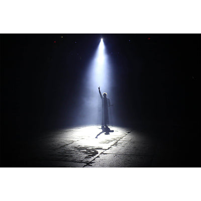 Chauvet DJ Hurricane 1000 Fog/Smoke Machine with Remote (Certified Refurbished) - VMInnovations