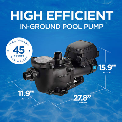 Hayward MaxFlo VS 230V Drop In Variable Speed Pump for In Ground Pools, Black - VMInnovations