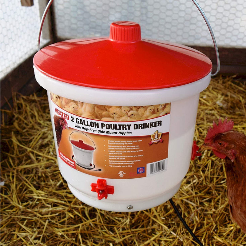 Farm Innovators HB-60P Heated 2 Gallon Poultry Water Bucket Drinker, White/Red