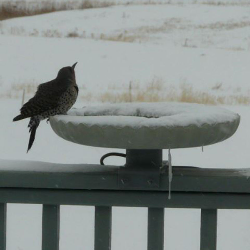 Farm Innovators 120W Outdoor Stone Heated Birdbath w/ Deck Mount, Gray(Open Box)