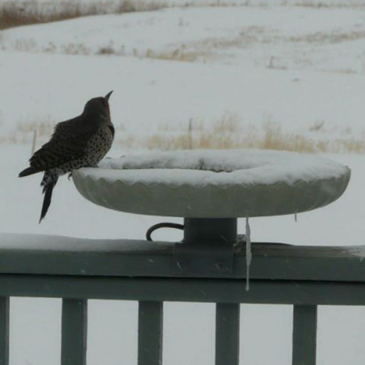 Farm Innovators Outdoor Heated Bird Bath, 120 Watt Stone Birdbath w/ Deck Mount