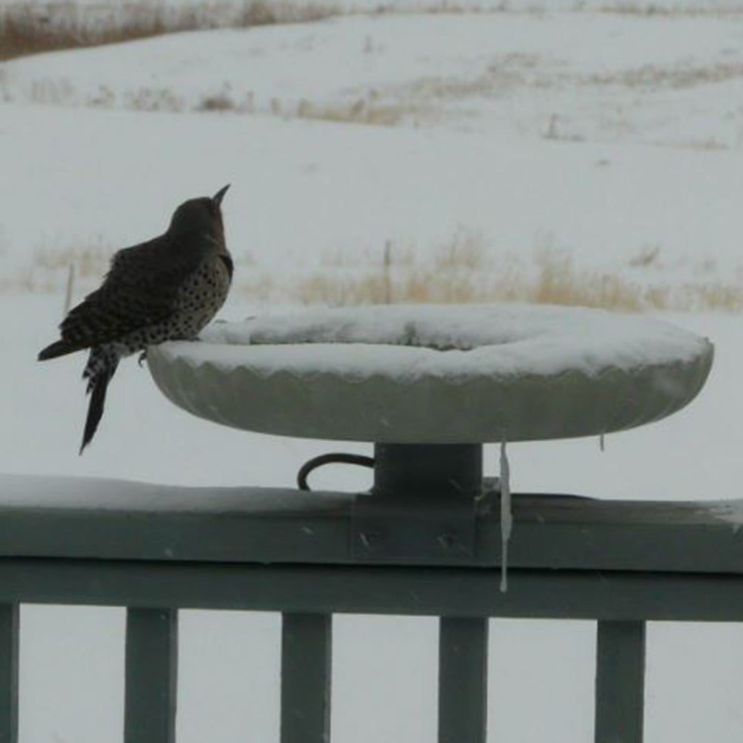 Farm Innovators 120W Stone Scalloped Heated Birdbath w/ Deck Mount, Gray (Used)