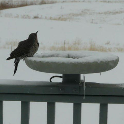 Farm Innovators 120W Stone Scalloped Heated Birdbath w/ Mount, Gray (For Parts) - VMInnovations