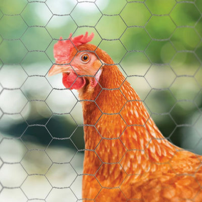 YardGard 18"x150' 1" Mesh Poultry Netting Garden Wire Fence, Silver (Open Box) - VMInnovations