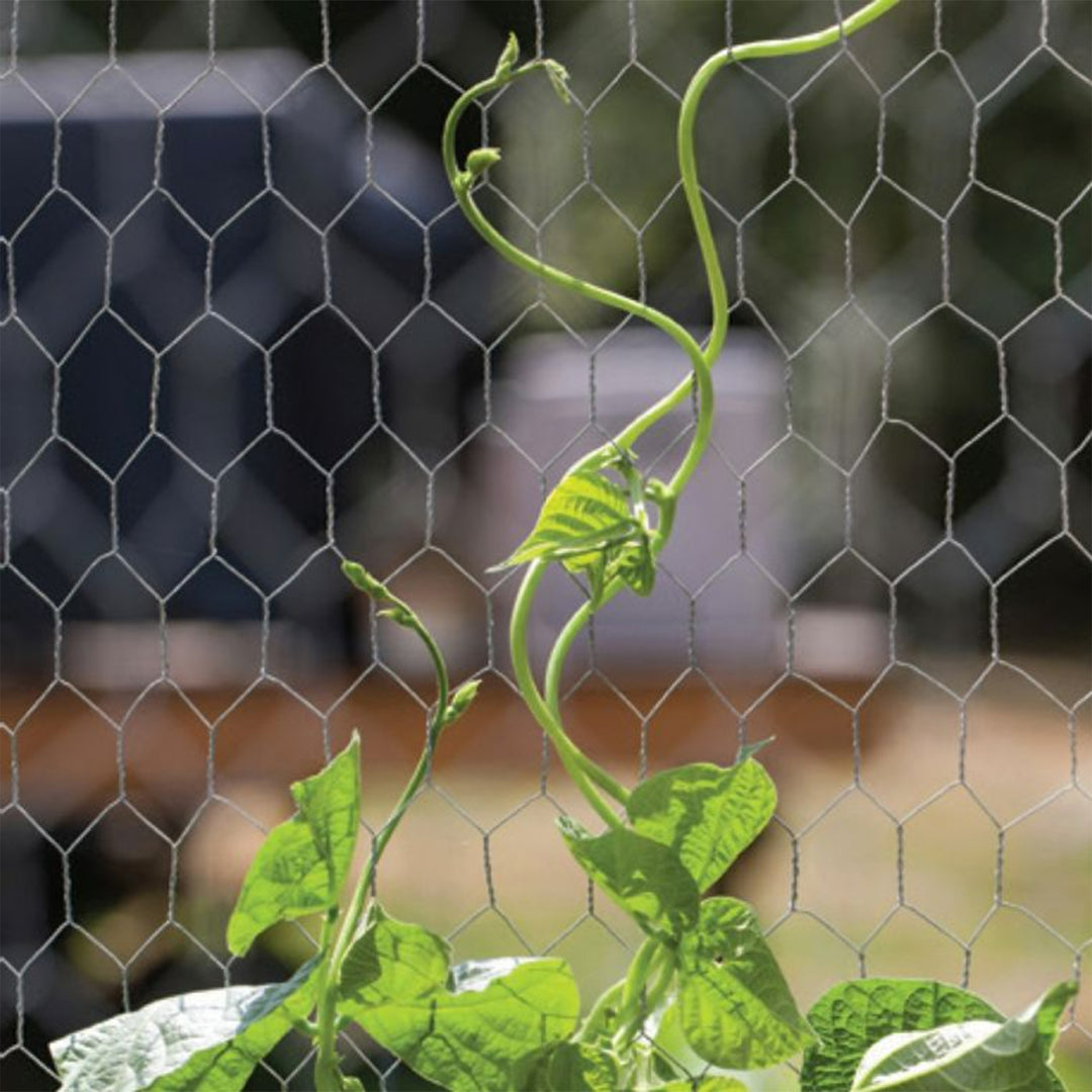 YardGard 18"x150' 1" Mesh Poultry Netting Garden Wire Fence, Silver (Open Box) - VMInnovations