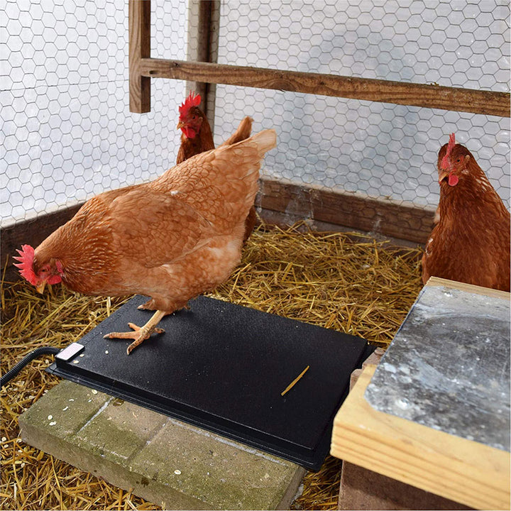 Farm Innovators 19 x 13" Heated Chicken Mat for Coops and Nesting Areas (Used)